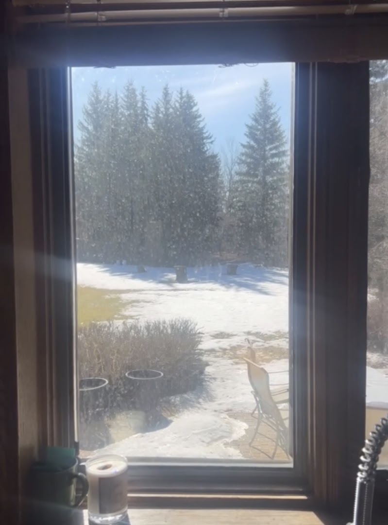 View through a window before cleaning, with visible haze and marks on the glass